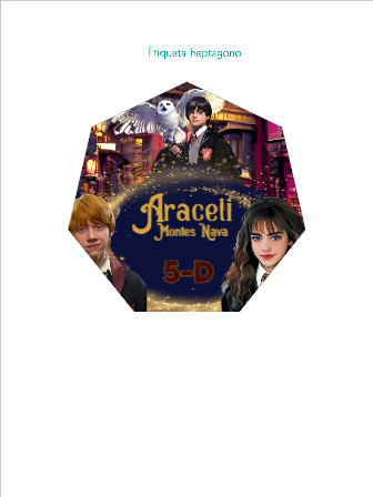 Libro Harry