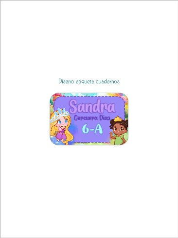 Cuadernos Little Princess