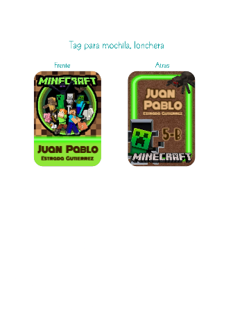Identificador Minecraft