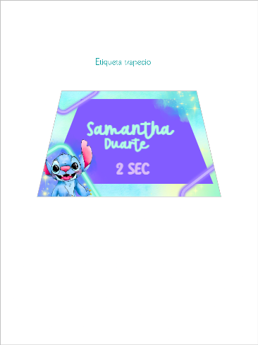 Cuadernos Stitch