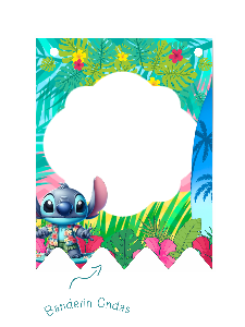BANDERIN STITCH
